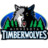 Timberwolves Icon